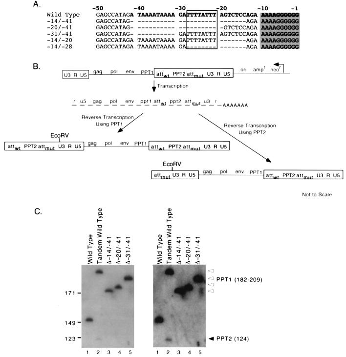 FIG. 8