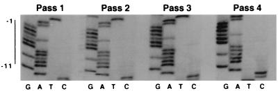 FIG. 4