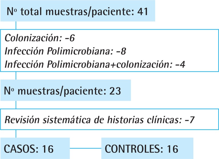 Figura 1