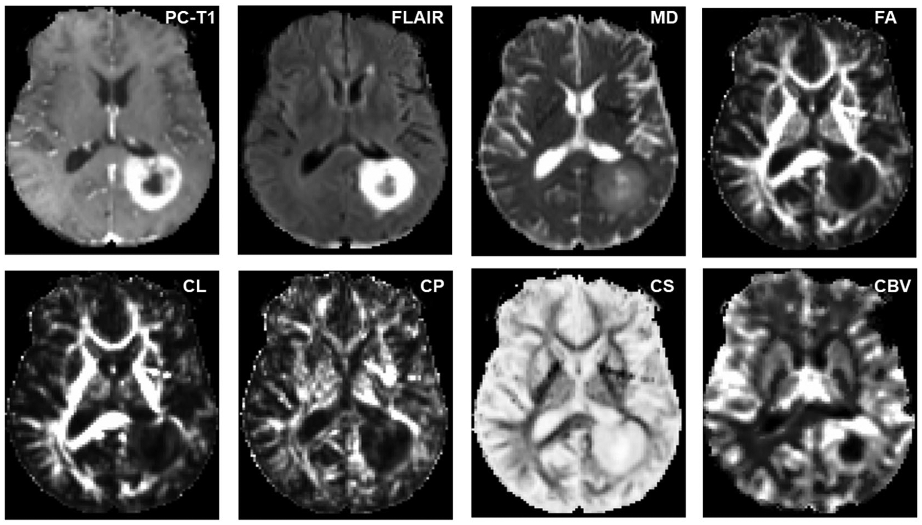 FIGURE 3