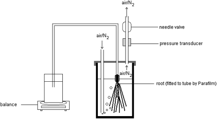 Figure 7.