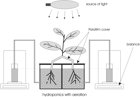 Figure 9.