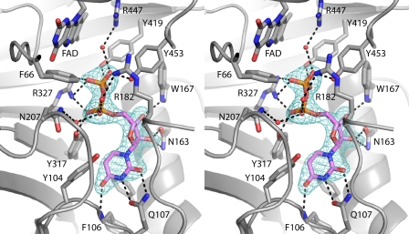 FIGURE 6.