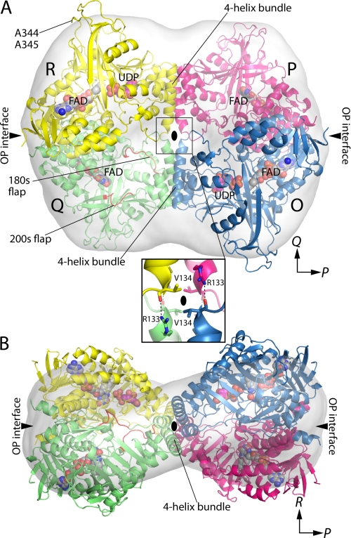 FIGURE 4.