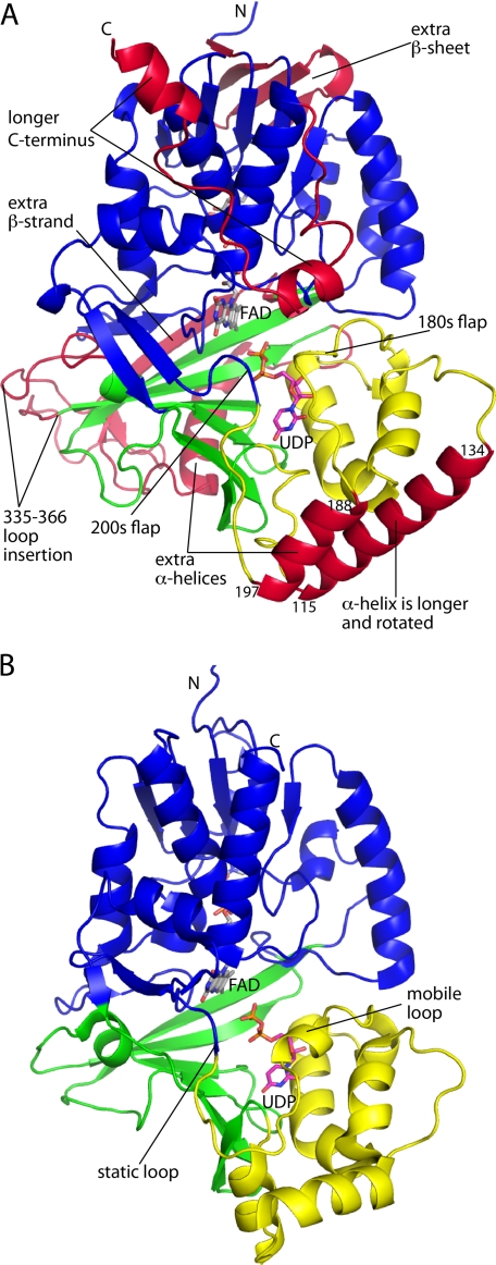 FIGURE 2.