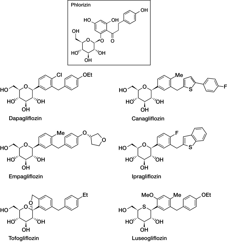 Fig. 4