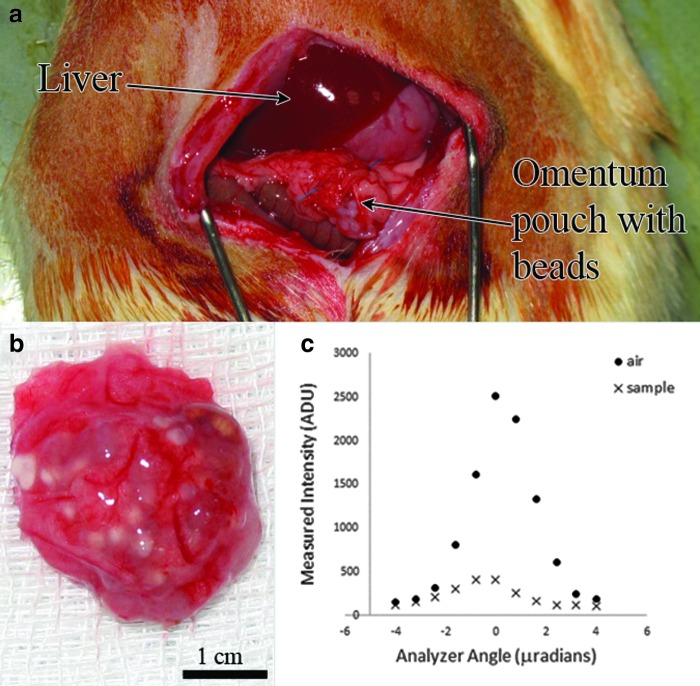 FIG. 1.