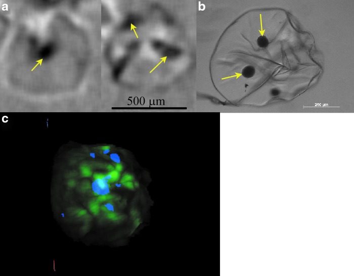 FIG. 3.