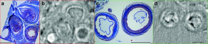 FIG. 5.