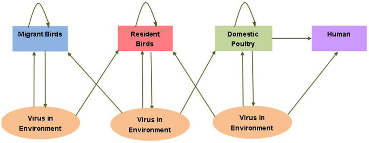 Figure 18