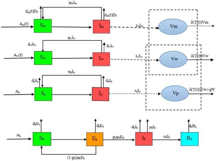 Figure 19