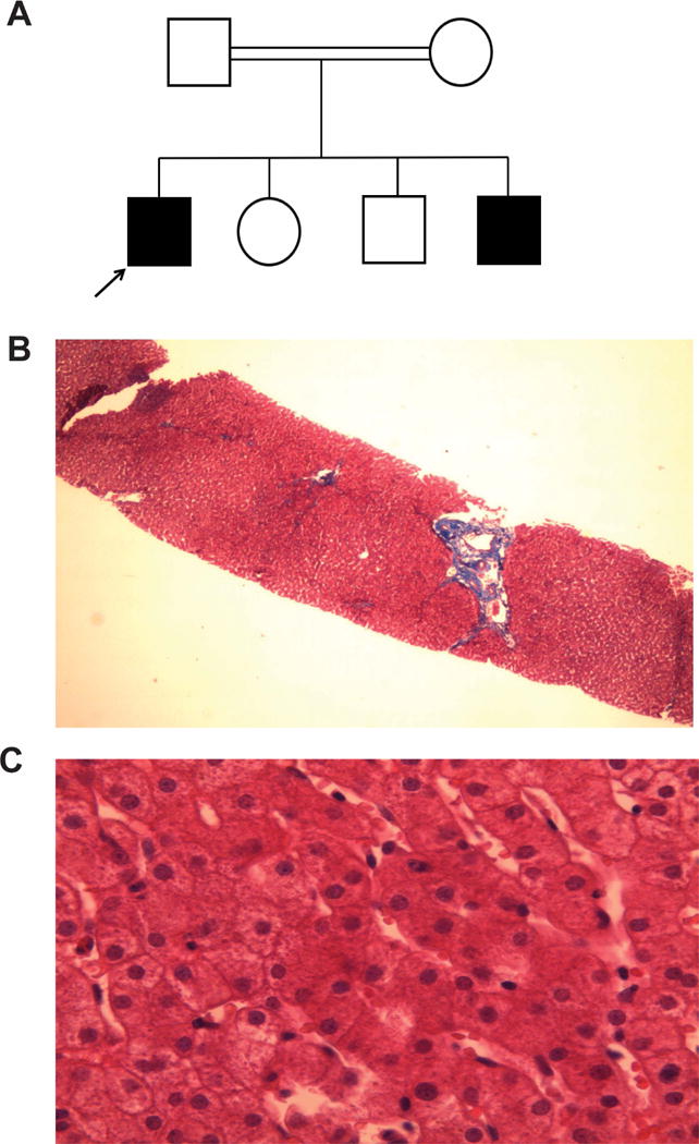 Fig 1