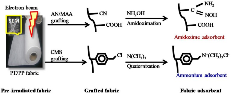 Scheme 2