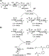 Scheme 2