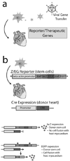 Fig. (3)