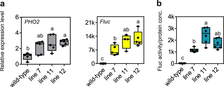 Extended Data Fig. 9