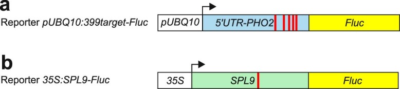 Extended Data Fig. 8