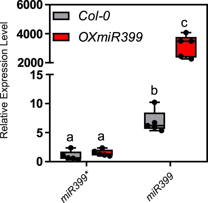 Extended Data Fig. 1