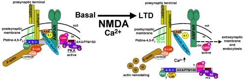 Figure 11.