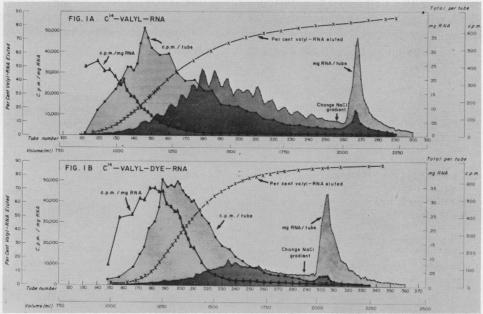 graphic file with name pnas00214-0109-a.jpg