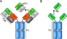 FIGURE 1.