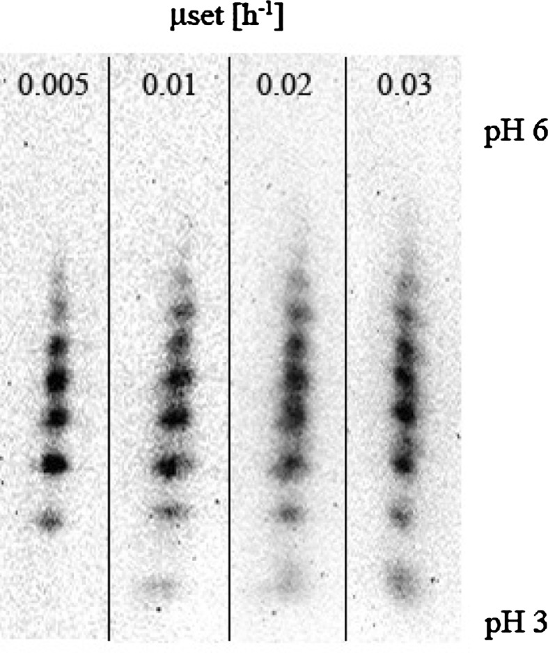 Fig. 3