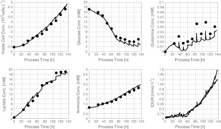 Fig. 6