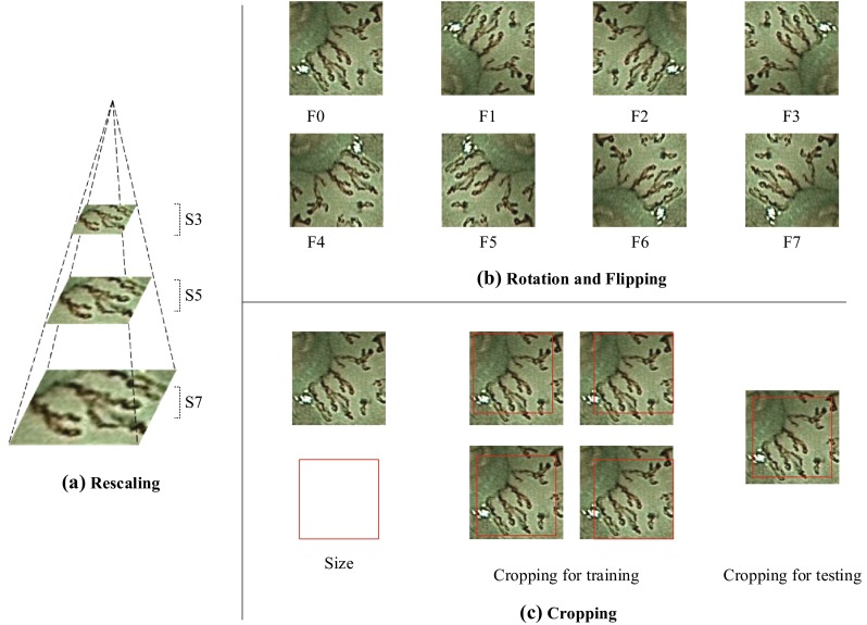 Fig. 7