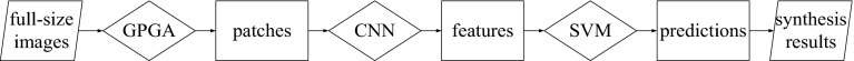 Fig. 4