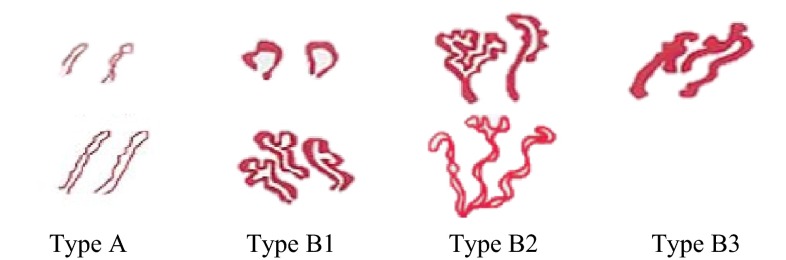 Fig. 2