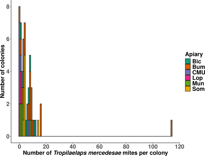 Fig 3