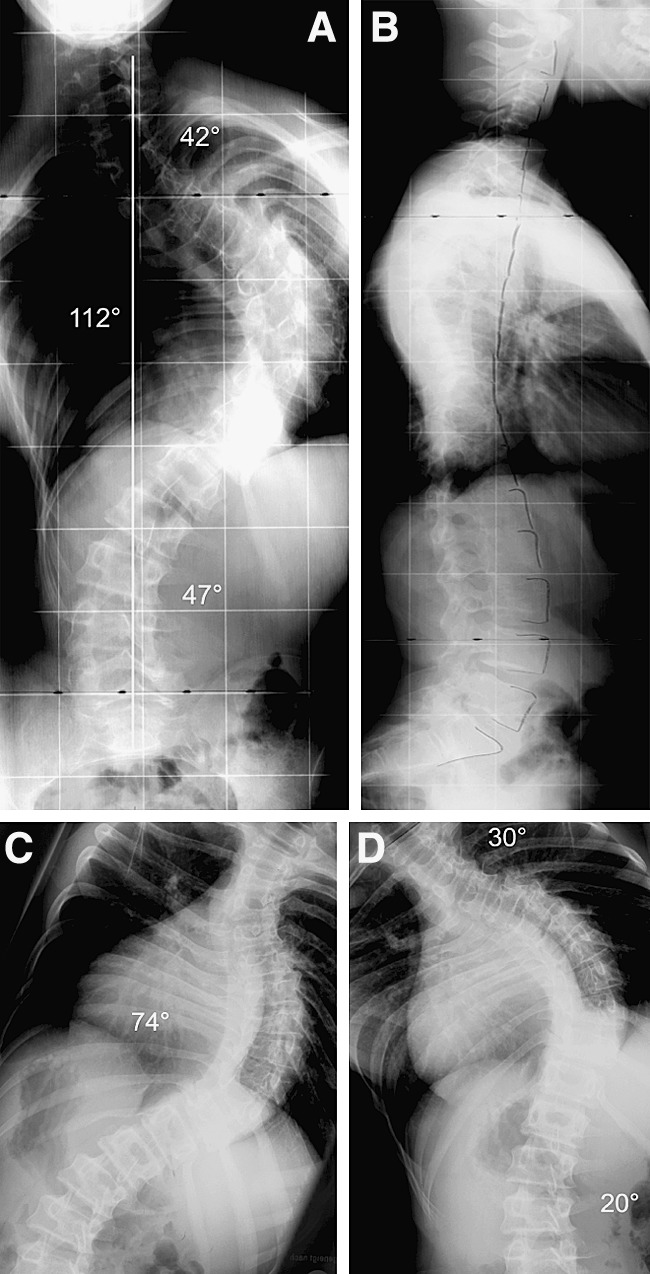 Fig. 1