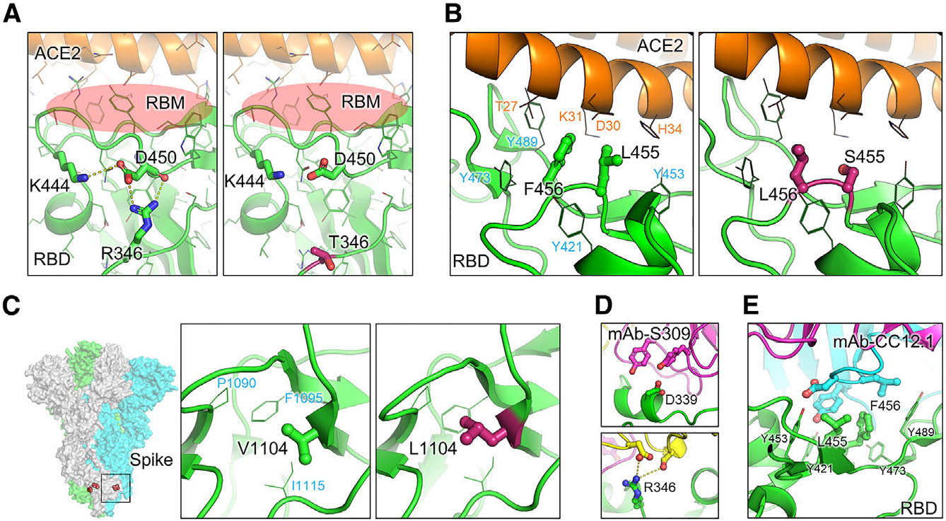 Figure 6.