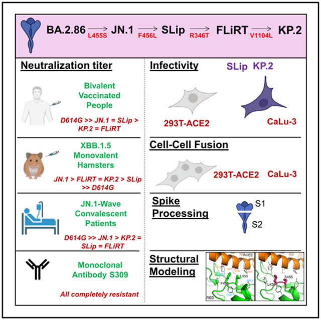 graphic file with name nihms-2019513-f0001.jpg