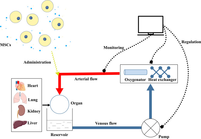 Figure 2