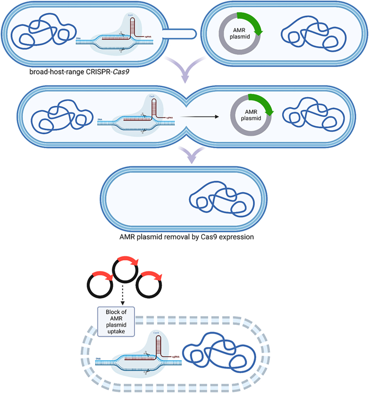 Figure 1