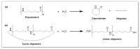 Scheme 7