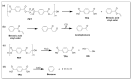 Scheme 5