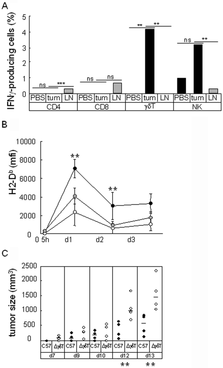 Figure 7