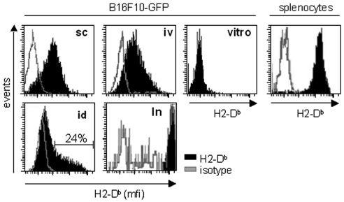 Figure 1