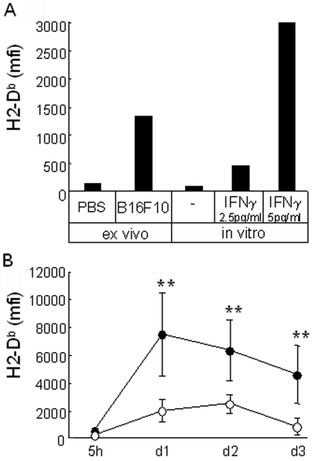 Figure 6