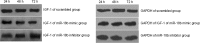 <b>FIG. 6.</b>