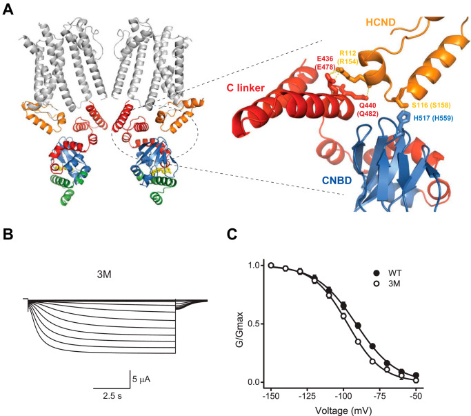 Figure 4.