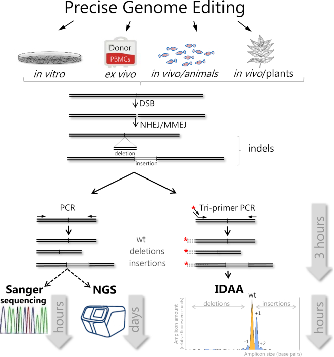 Figure 4.