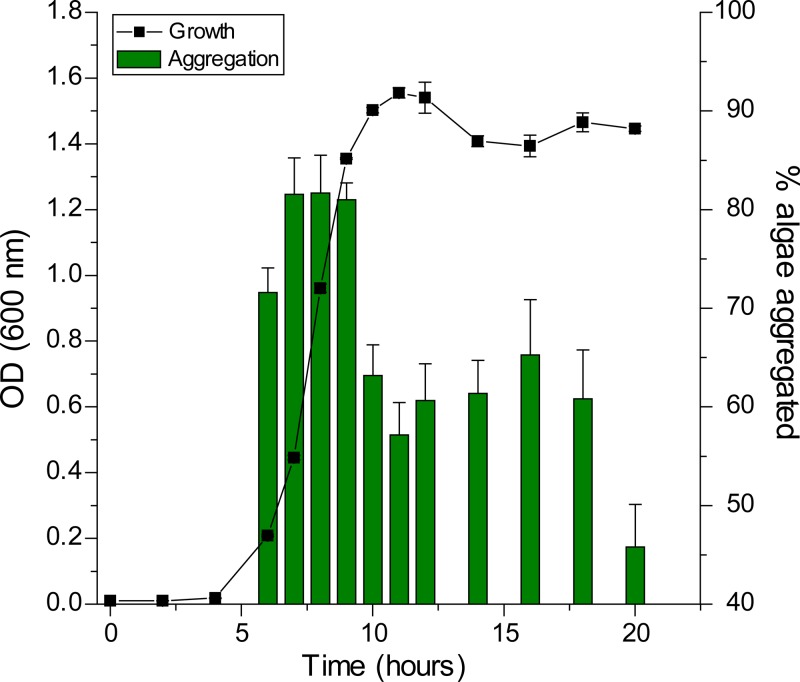 FIG 2