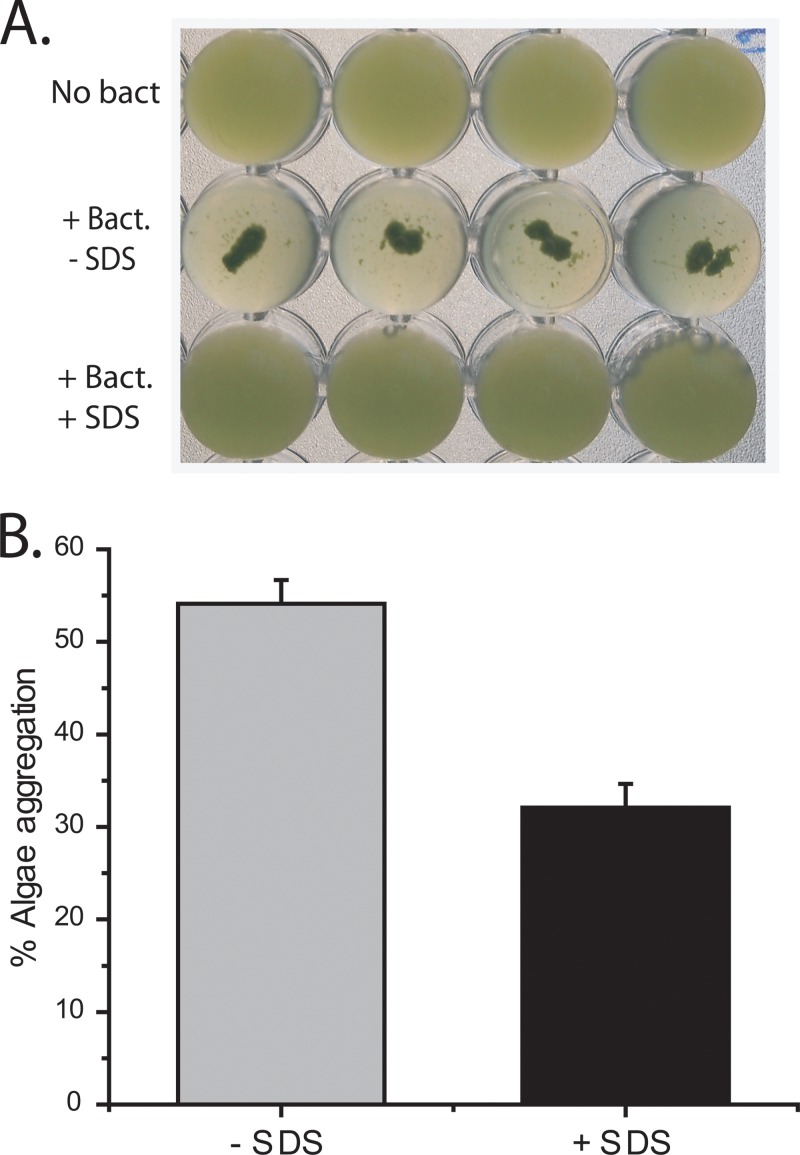 FIG 7