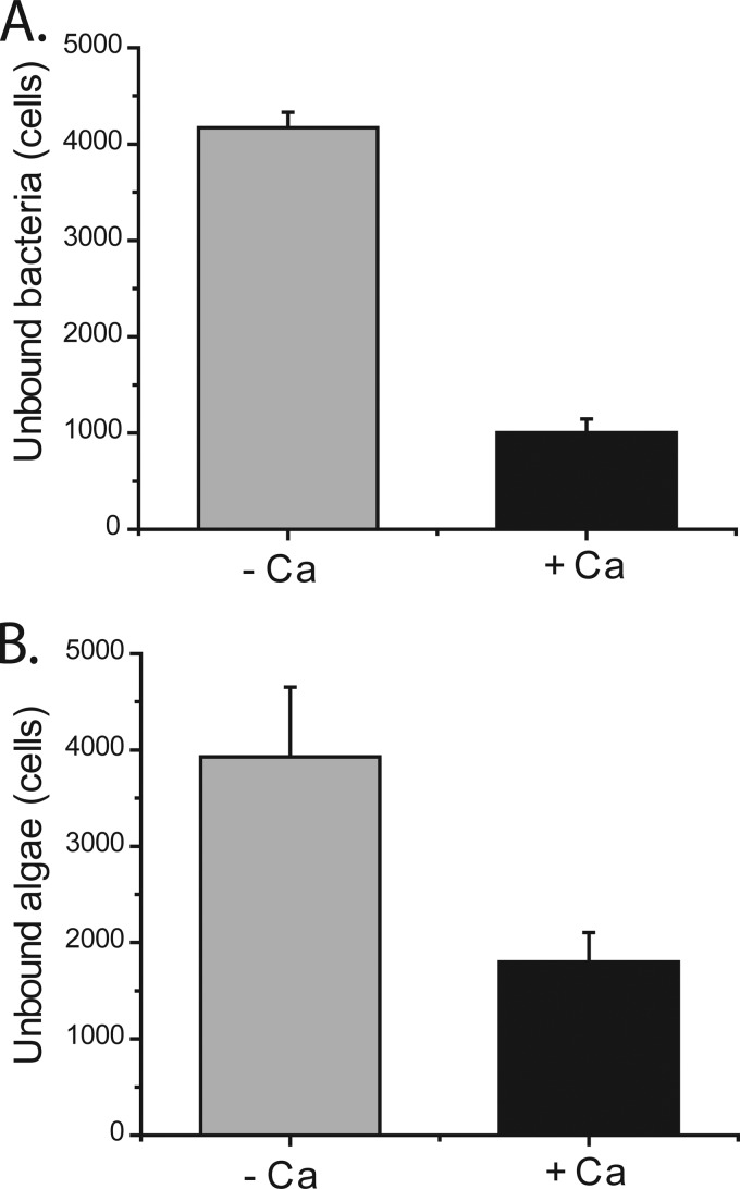 FIG 6