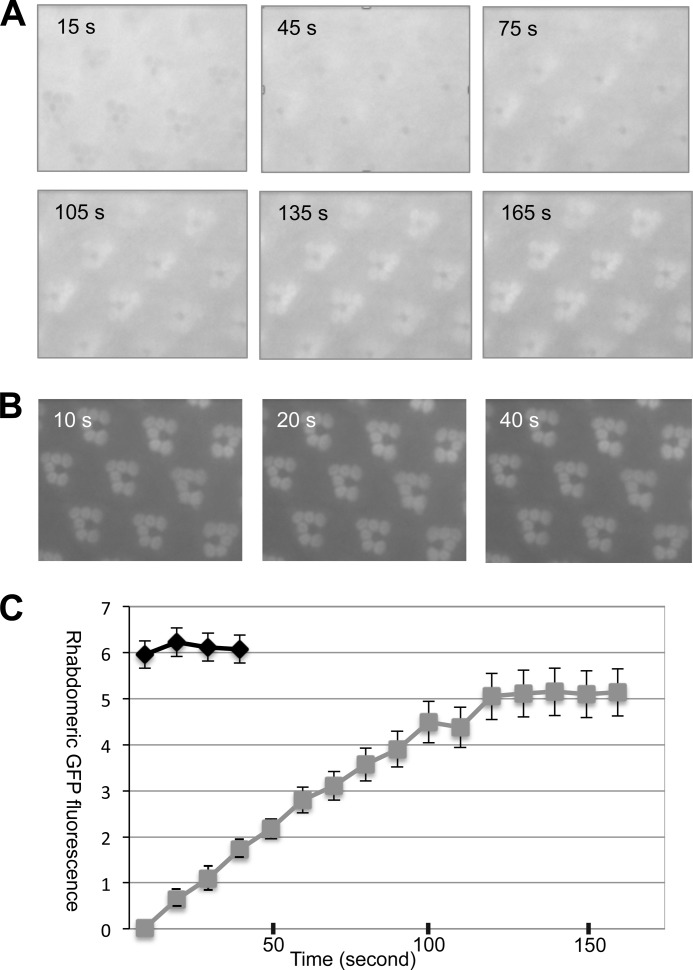 FIGURE 2.