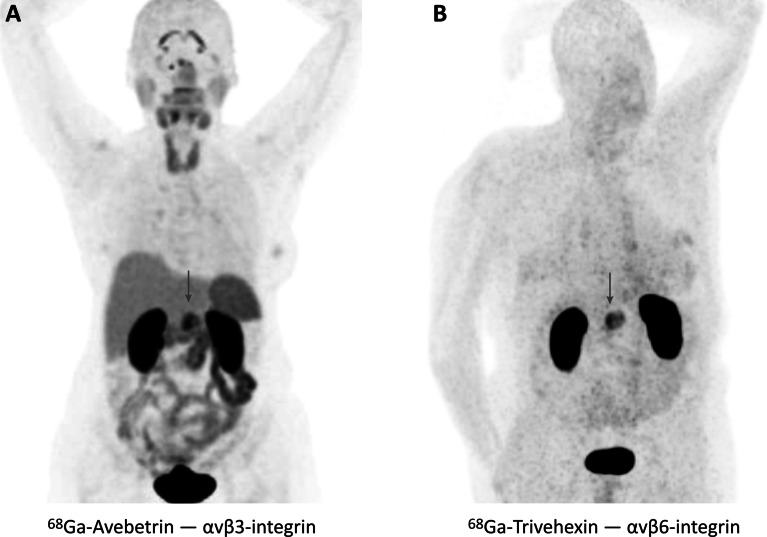 Fig. 8