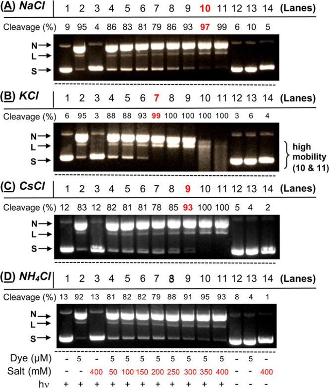 Figure 13